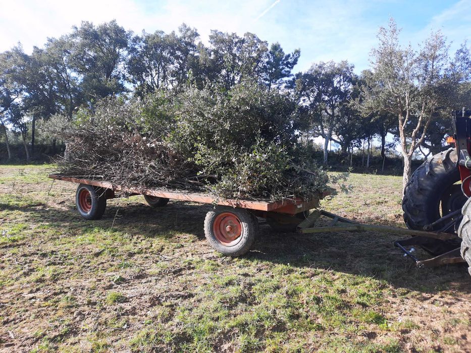 Reboque agricola 4780 kgs 2 eixos