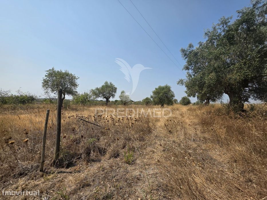 Terreno com Ruína para Reconstrução, Casével – Santarém