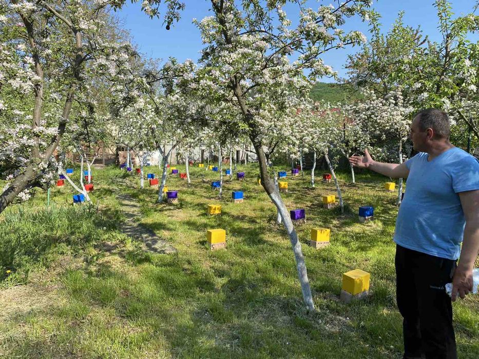 Бджолопакети