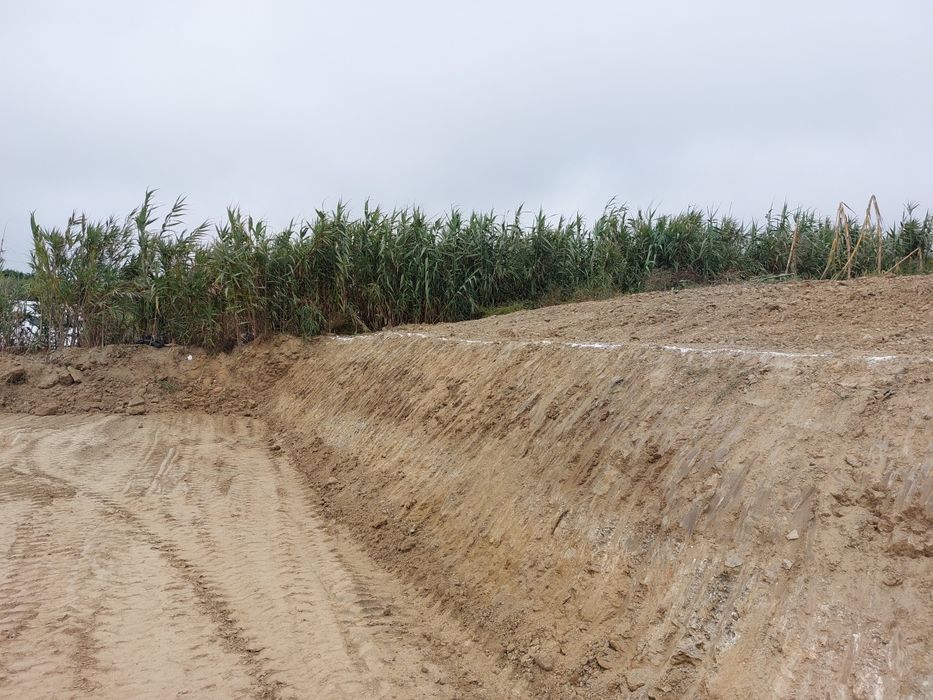 Limpeza / Corte/  Manutenção de terrenos