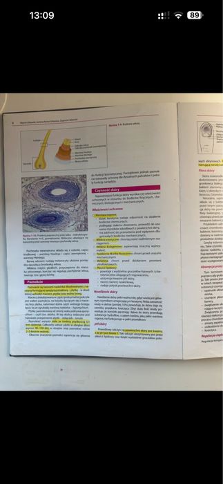 Książka kosmetogia dla dermatologów