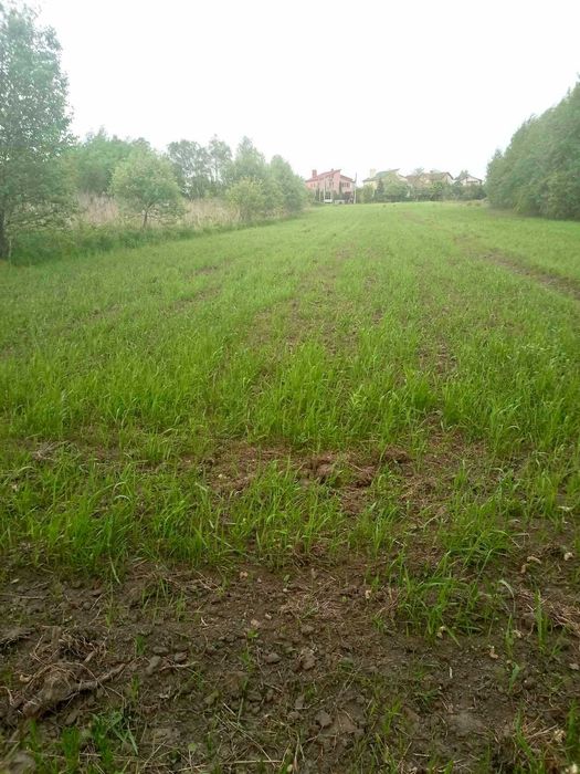 Продаж земельної ділянки. с. Липники