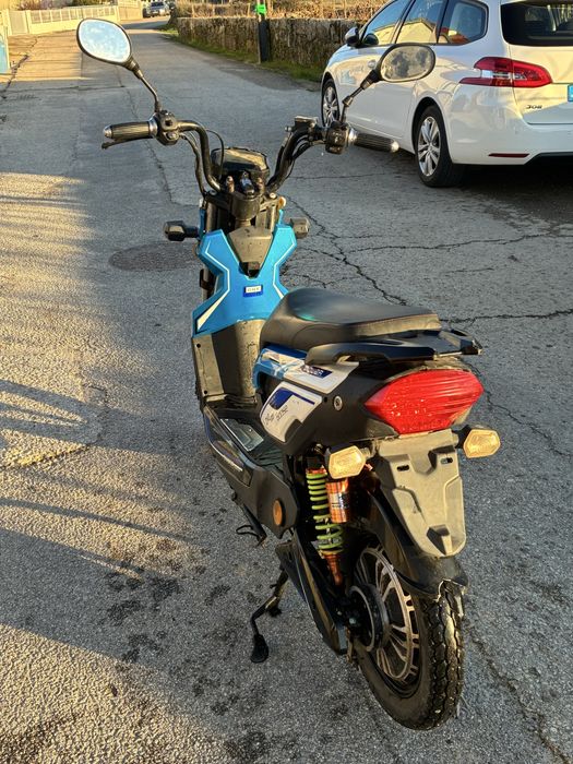 Mota elétrica Goose one