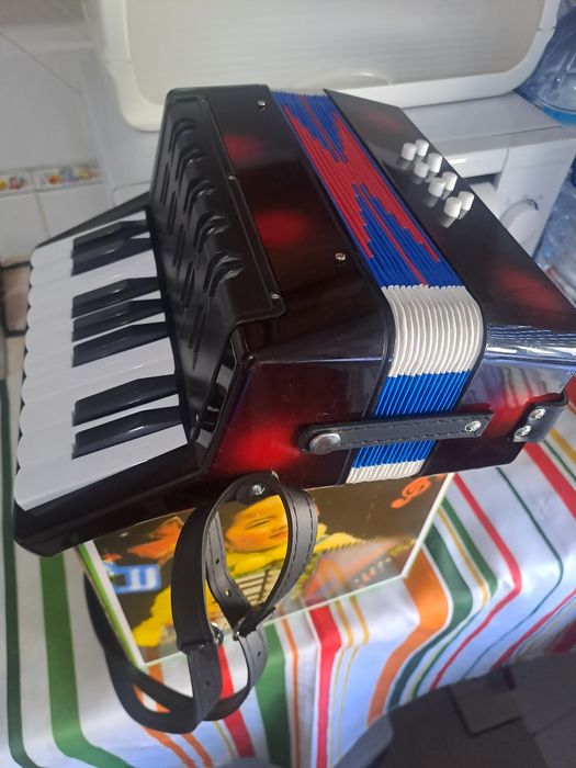 Acordeon criança