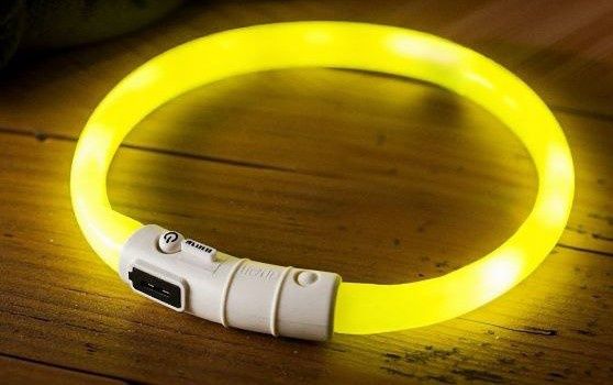 Нашийник, що світиться