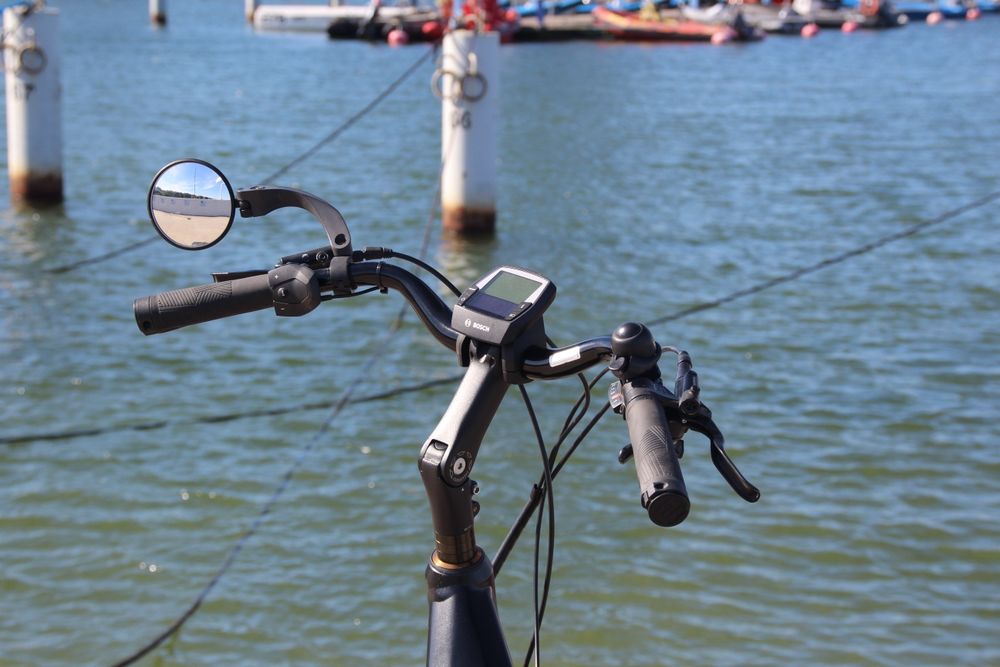 Rower elektryczny OXFORD  duża rama  bosch