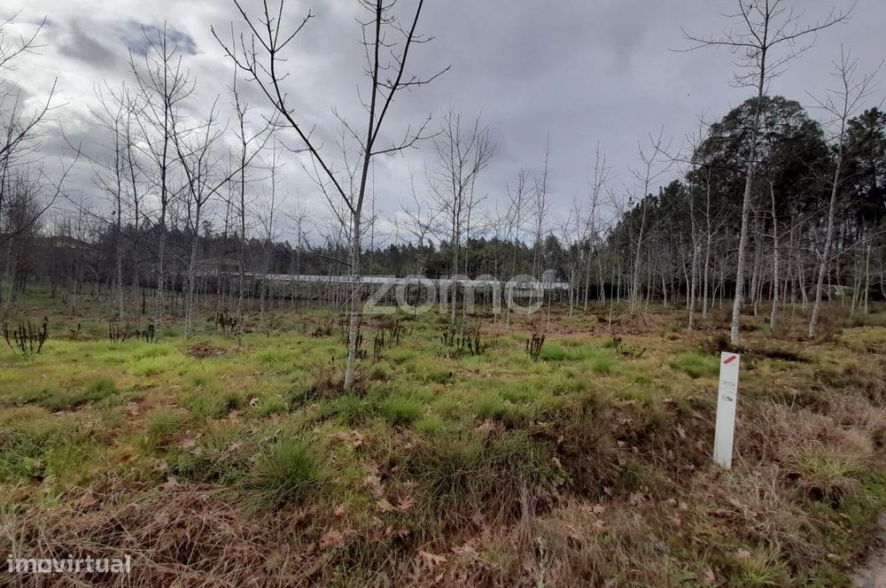 Terreno para construção com 5400m2