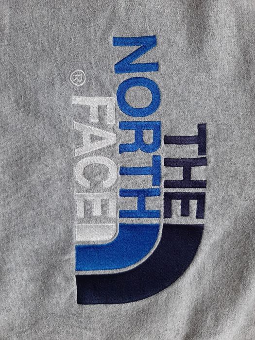 Bluza hoodie the north face