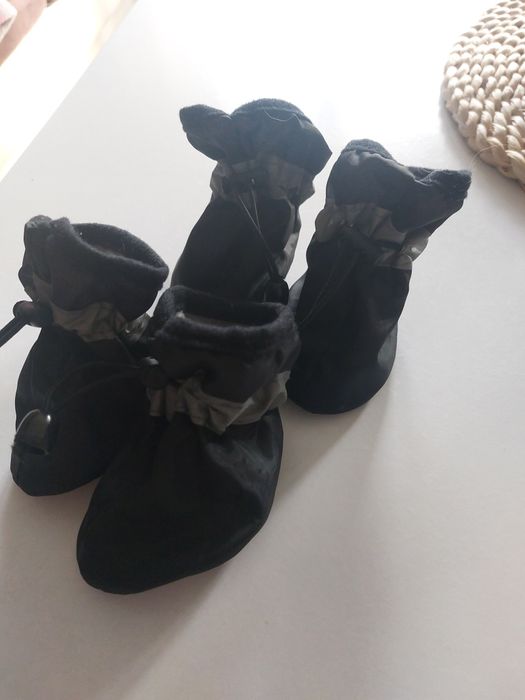 Ubranka dla malego psa lub kota. lub kota