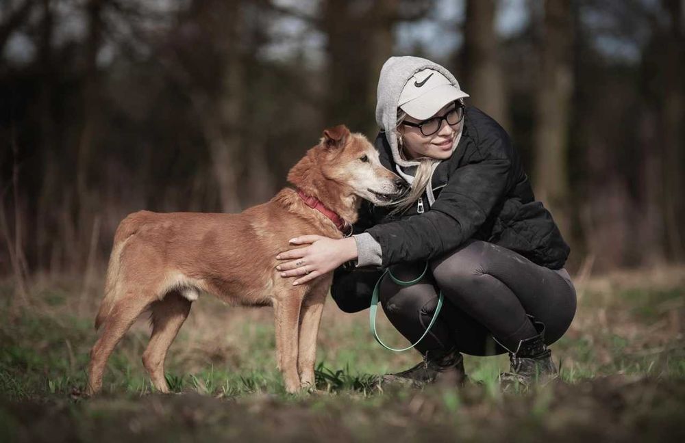 Winne - pies który ciągle się uśmiecha ADOPCJA