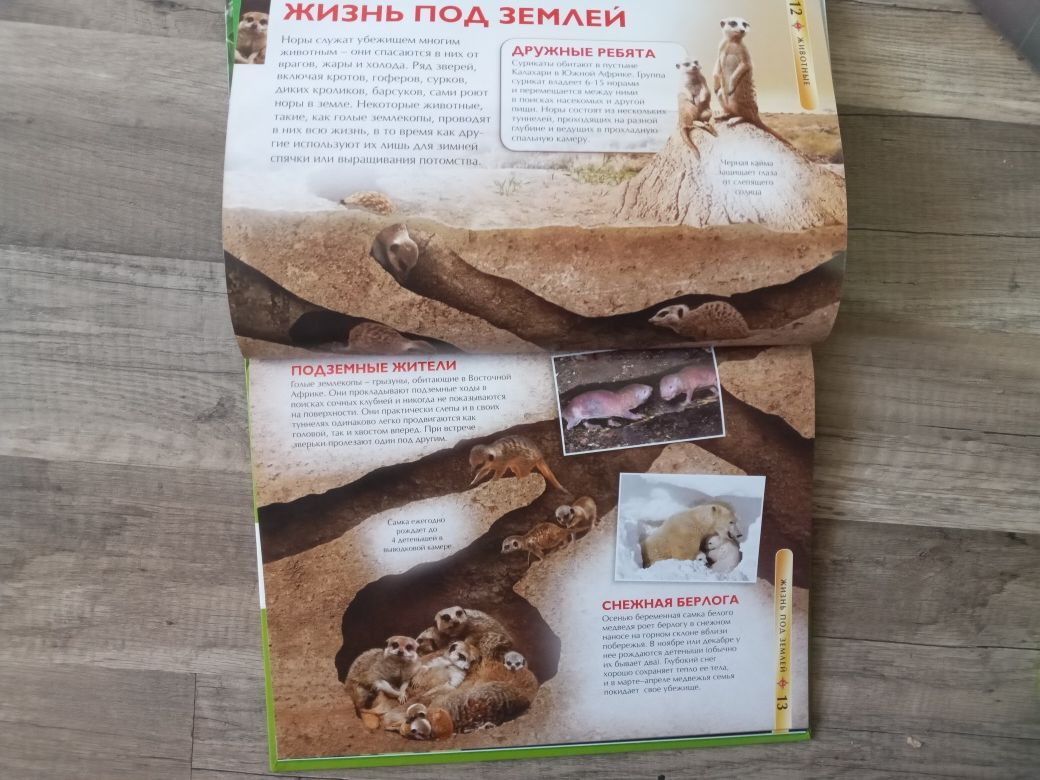 семьи нудисты 4" 