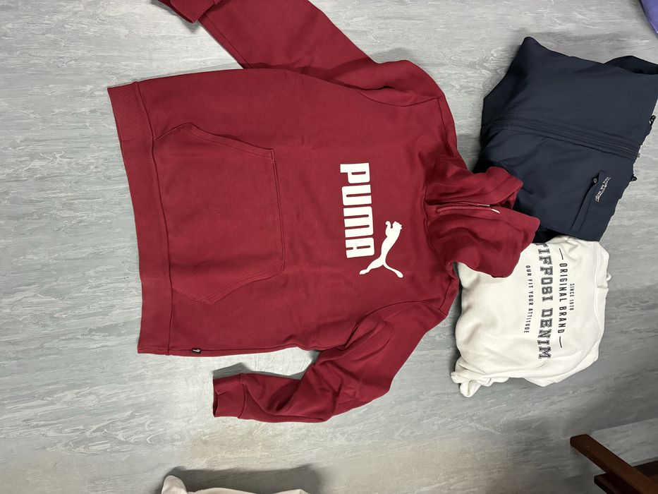 Lote de Sweatshirts