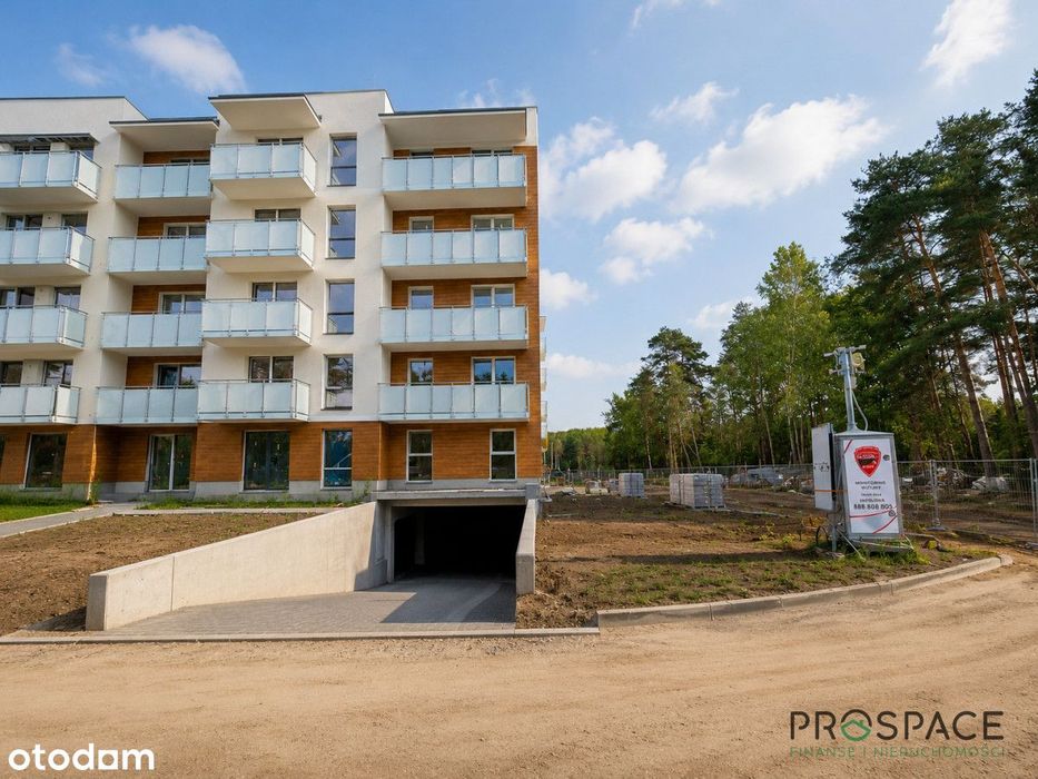 Las za oknem II ul. Batorego II duży balkon