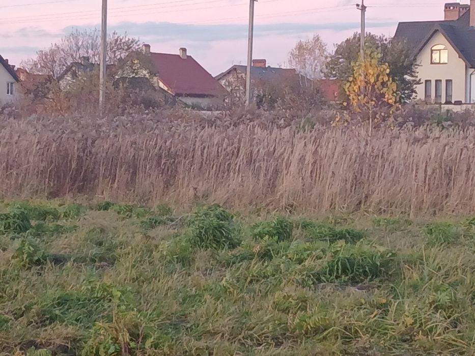 Продаж земельної ділянки в с. Холодновідка