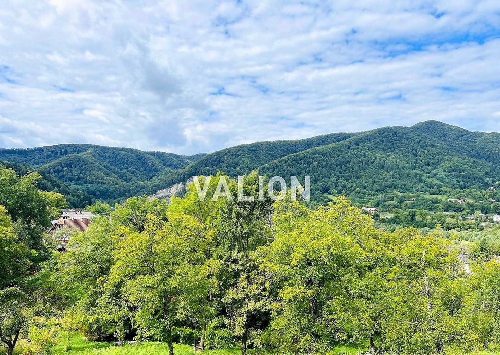 Без % Продаж будинку з ділянкою 0,60 га с. Міжброди, Чернівецька обл.