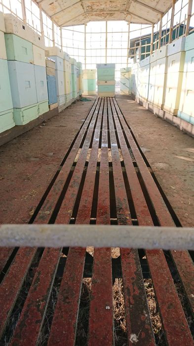 Прицеп для перевозки пчёл