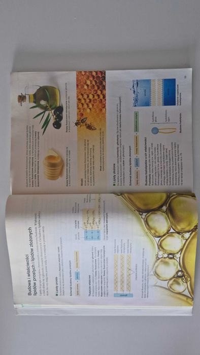 "Biologia na czasie 1" Podręcznik do biologii