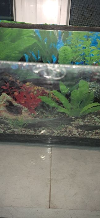 Акваріум на 65 л