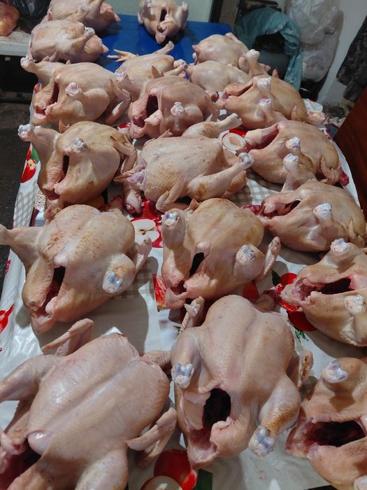 Бройлер домашній 130гр кг.