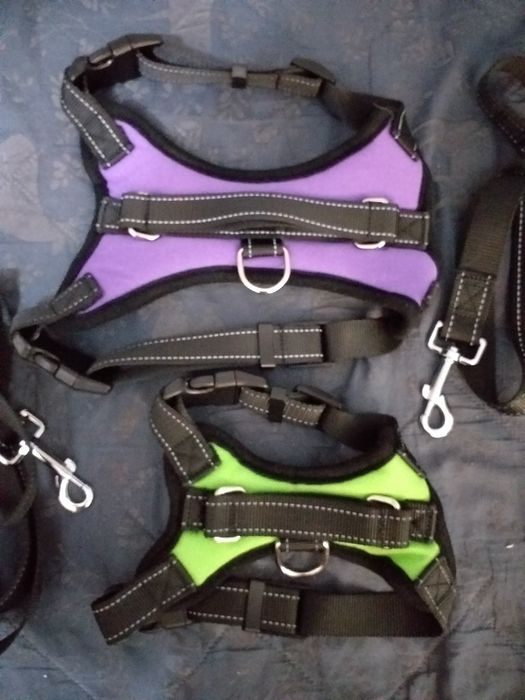 Szelki dla psów + smycz 1 m