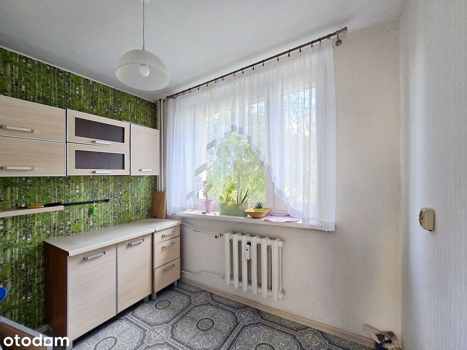 Chorzów, 3 pokoje z balkonem w bloku z CO, bez prowizji - Widok 6