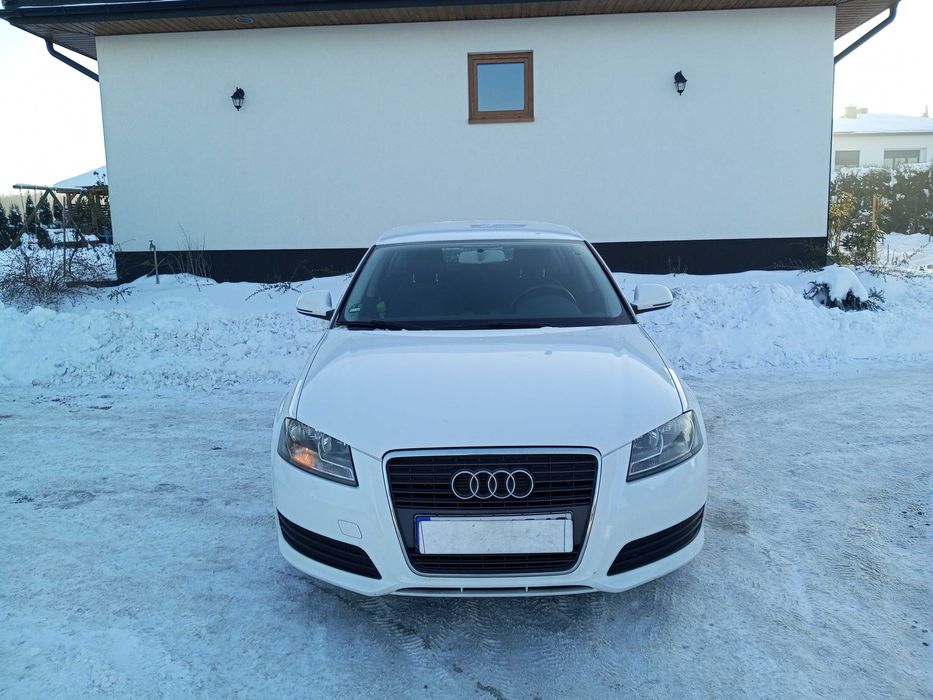 Audi A3 1.6 Benzyna 102 KM 2 kpl. kół