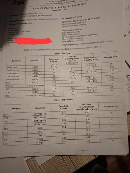 Bele sianokiszonki z lucerny, sianokiszonka