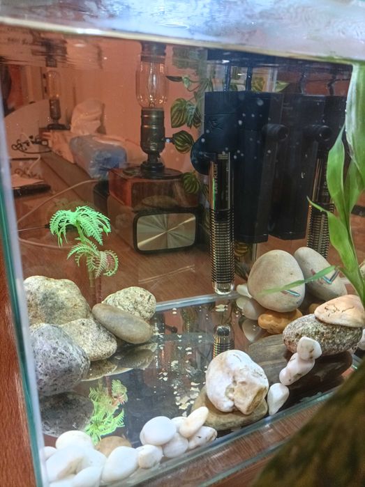 Aquário Completo Aquatlantis kubus 15l com LED, biofiltro e Aquecedor