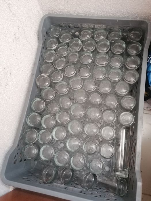 Copos Whisky (cada 24 Unidades)