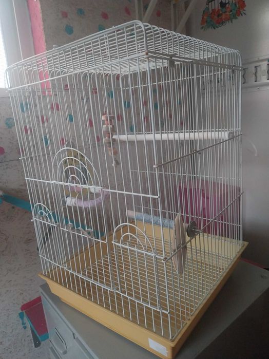 Gaiola de pássaros