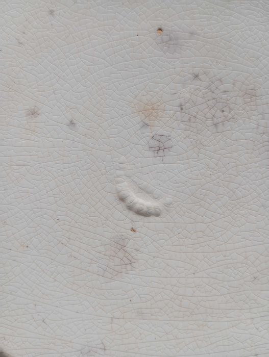 Antigos pratos Portugueses em faiança de Massarelos Porto