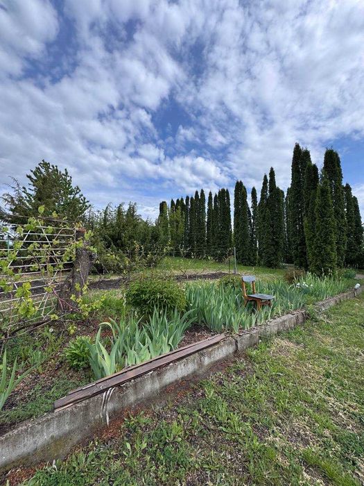 № 13393 - Продаж цегляного будинку, с.Ліщин!