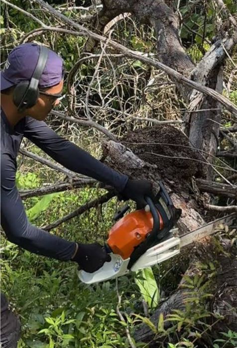 Limpeza manutenção de jardins, quintais, quintas, pomares, terrenos florestais e agriculas