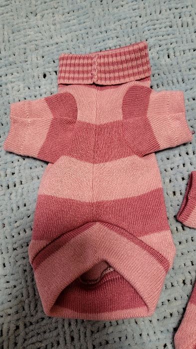 Светрики для сфінксів