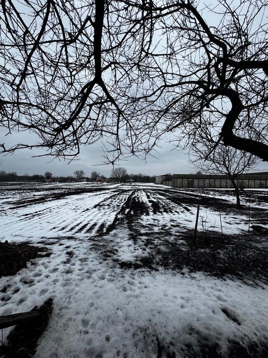 Продам дом в селе Губиниха