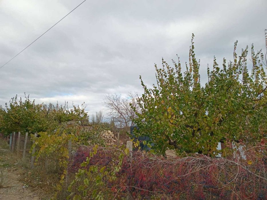 Продаю   часний дом