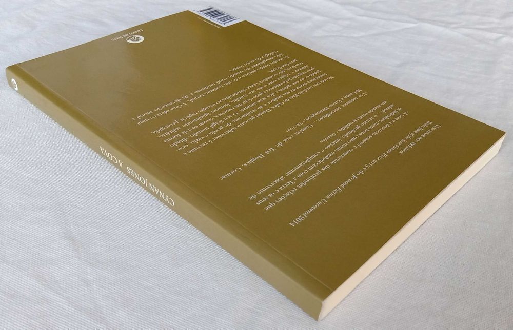 Livro A Cova de Cynan Jones [Portes Grátis]