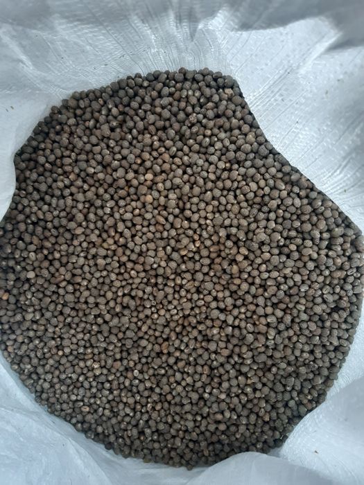 Seradela.łubin.żyto jare.owies.nostrzyk.pszenżyto jare.facelia.gryka