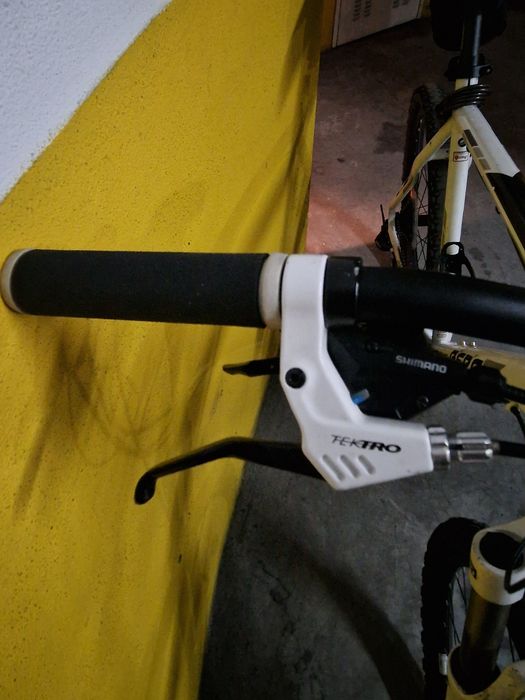 Bicicleta de montanha Berg