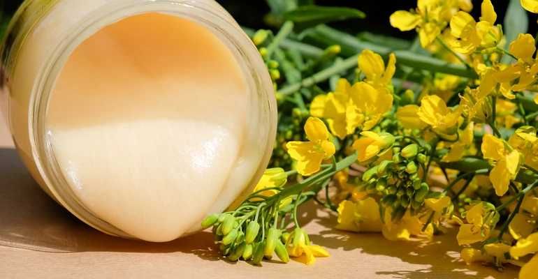 Świeży miód rzepakowy z własnej pasieki 2025 HURTOWO w beczkach, HURT