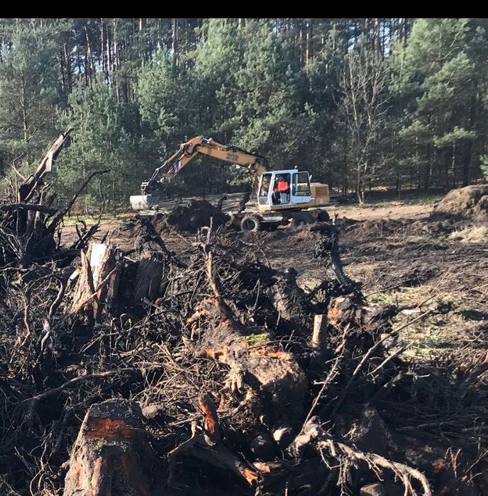 Wycinka drzew wyrywanie korzeni karp czyszczenie działek