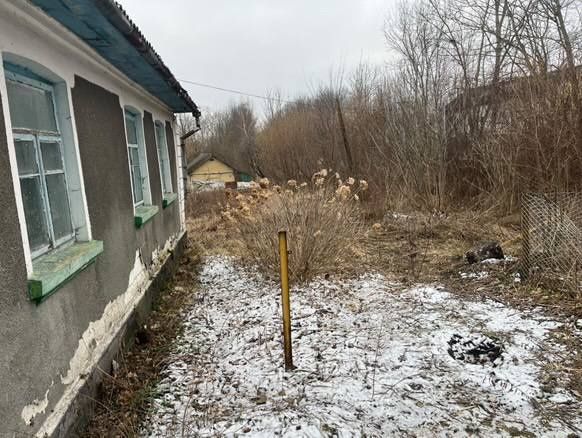 Будинок в селі Ридомиль