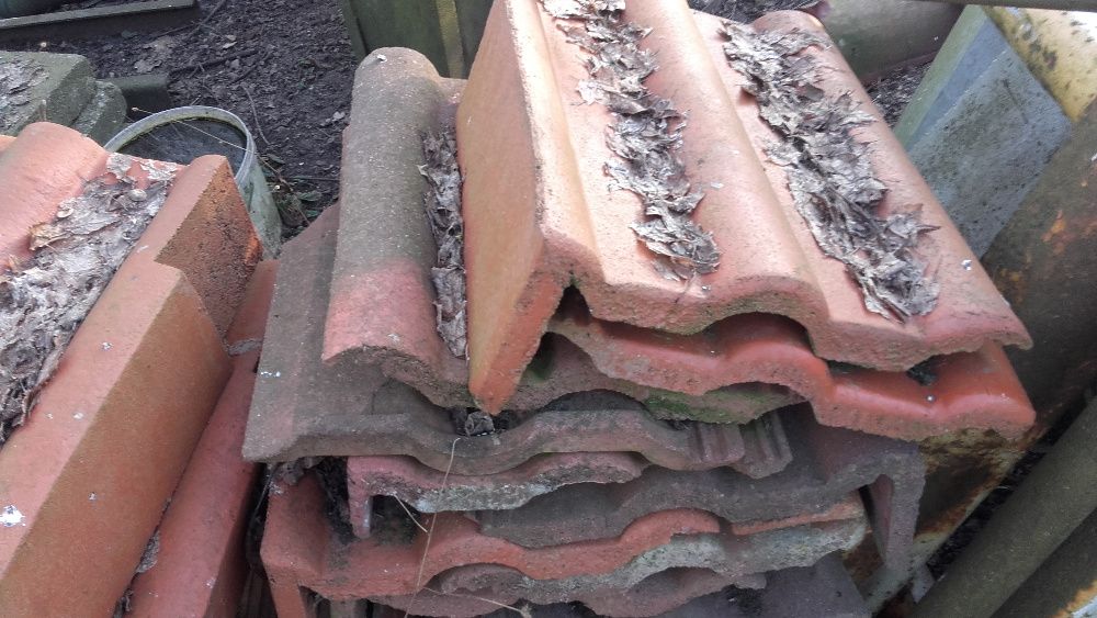 Gasior Gosiory do Dachowki Karpiowki Betonowej