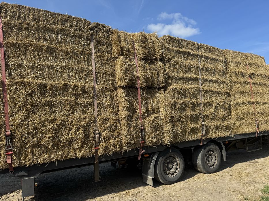 Słoma 2026 sucha z wiaty duża kostka transport