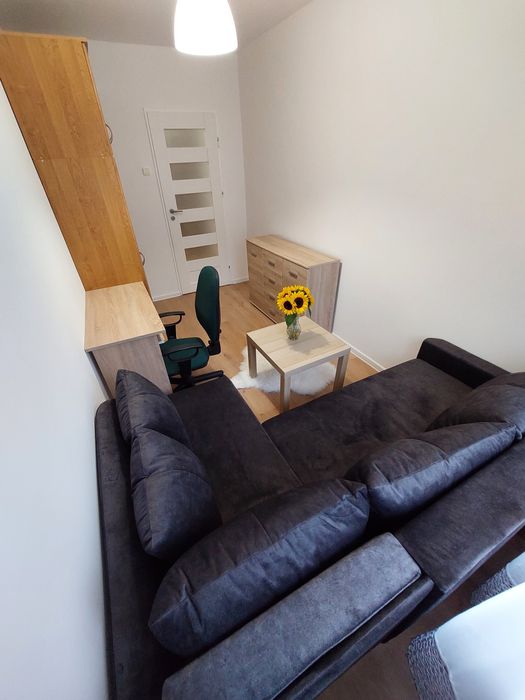 Pokój jednoosobowy Kaprysowa Czechów