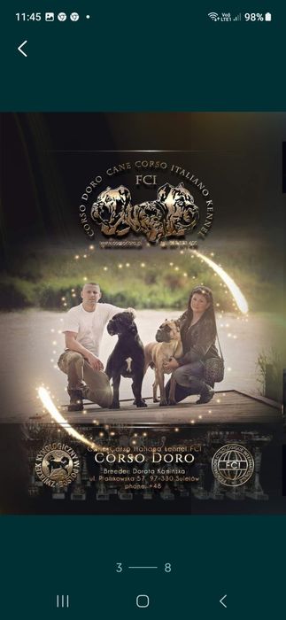 Cane Corso Profesjonalna Hodowla Corso Doro ZKWP/FCI
