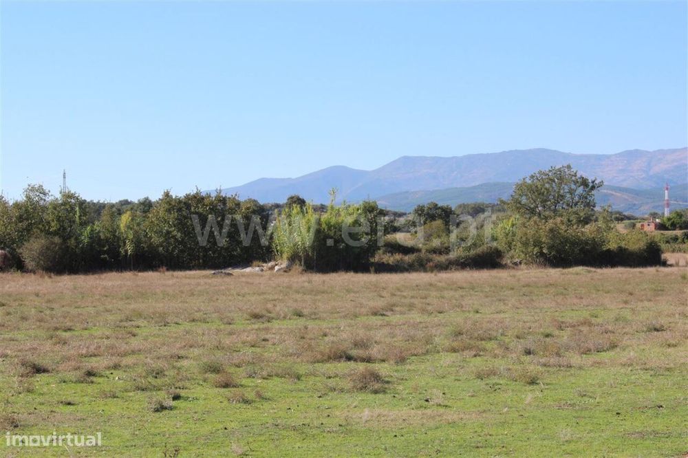 Terreno Rústico / Fundão, Valverde — Fundão, Valverde, Donas, Aldeia De Joanes E Aldeia Nova Do Cabo, Castelo Branco