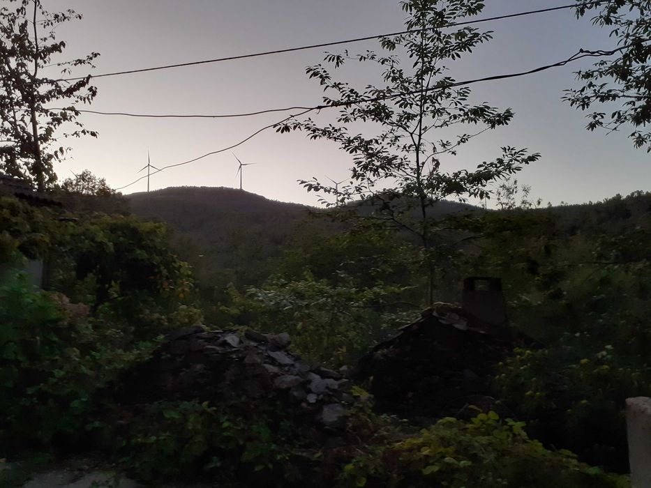 Baixa de preço Moradia independente Vila Real