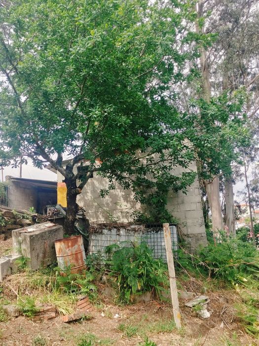 Vende-se Terreno de Cultivo com Currais para Animais – Aveleira - Penacova