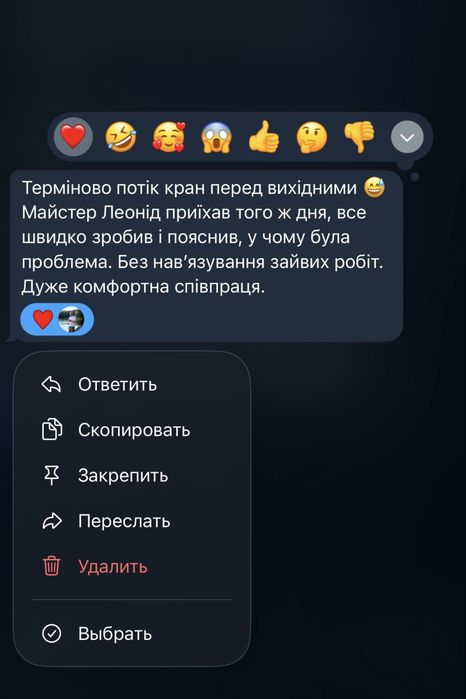 Професійні  майстри  по будинку та квартирі  , муж на час )